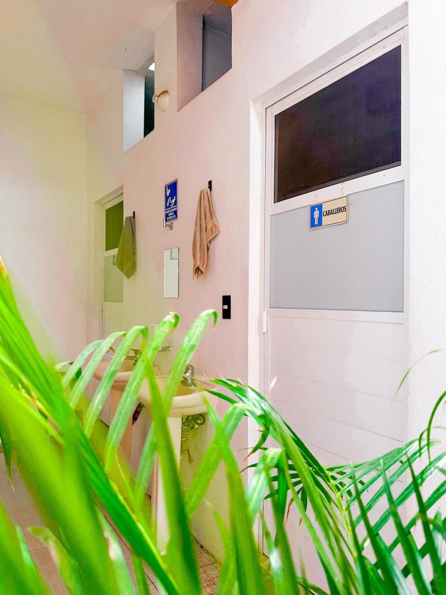 Habitacionez Hvuz Oaxaca Buitenkant foto