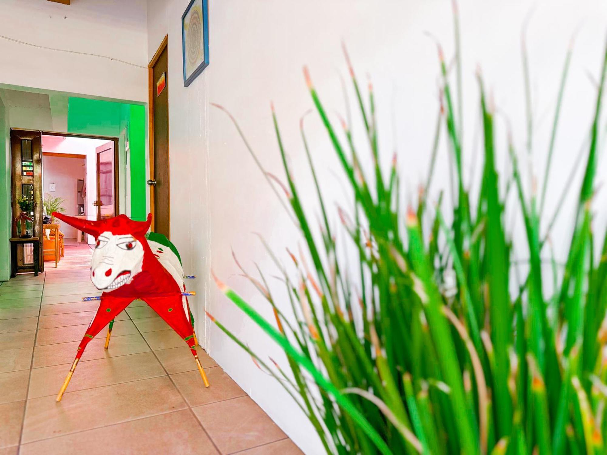 Habitacionez Hvuz Oaxaca Buitenkant foto