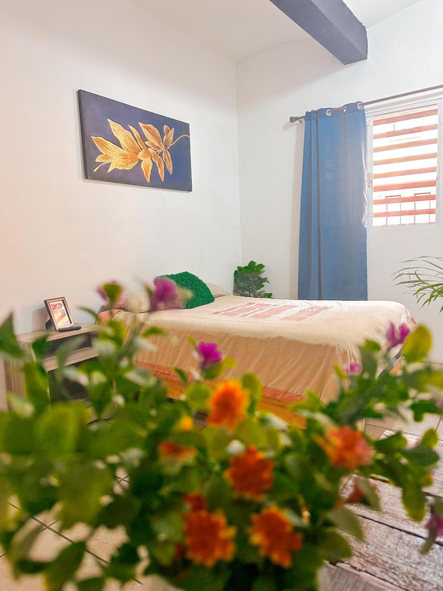 Habitacionez Hvuz Oaxaca Buitenkant foto