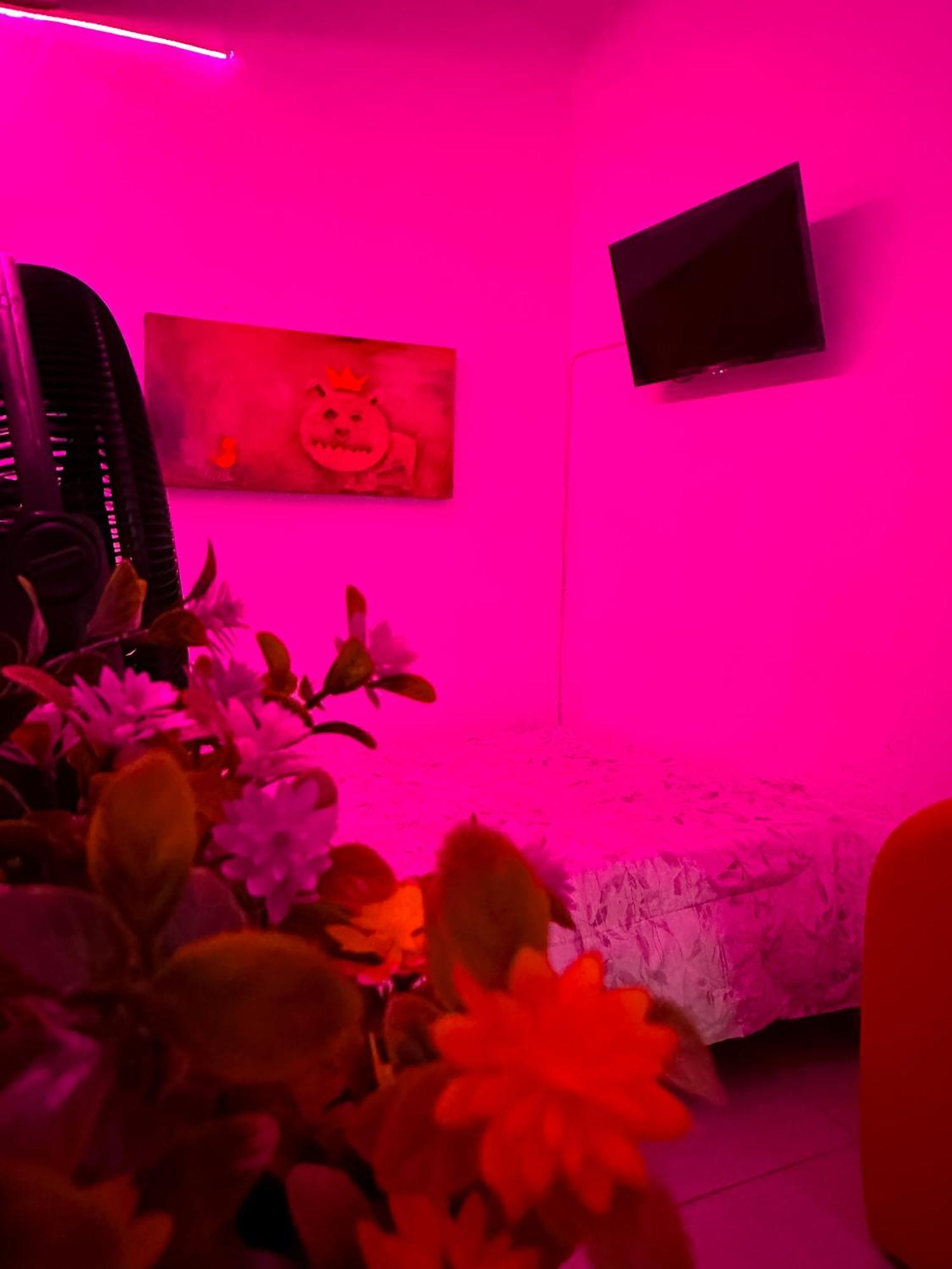 Habitacionez Hvuz Oaxaca Buitenkant foto